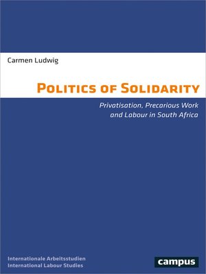 cover image of The Politics of Solidarity